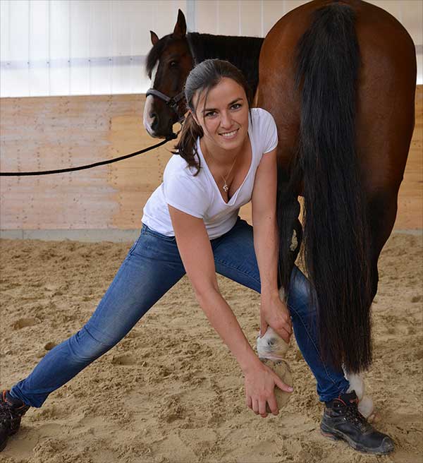Tamara Linz Osteopathin behandelt Fußgelenk von Pferd